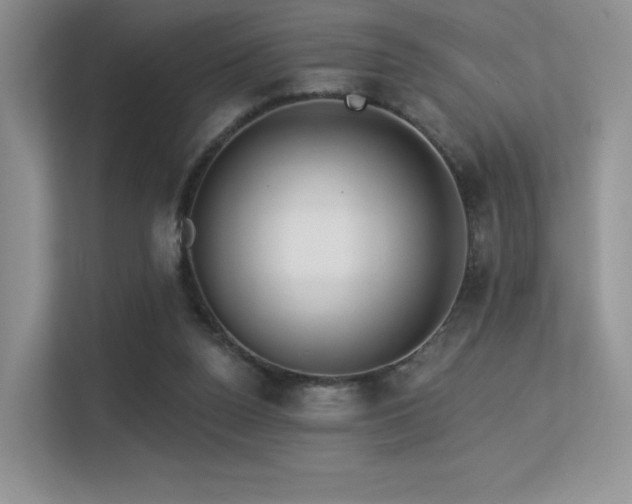 X0000113300160200909141254