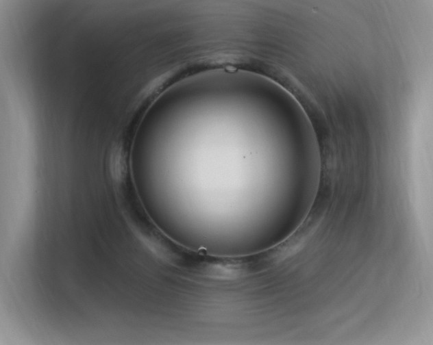 X0000113300164200909141254