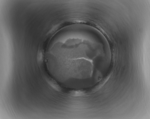 X0000113300165200909141254