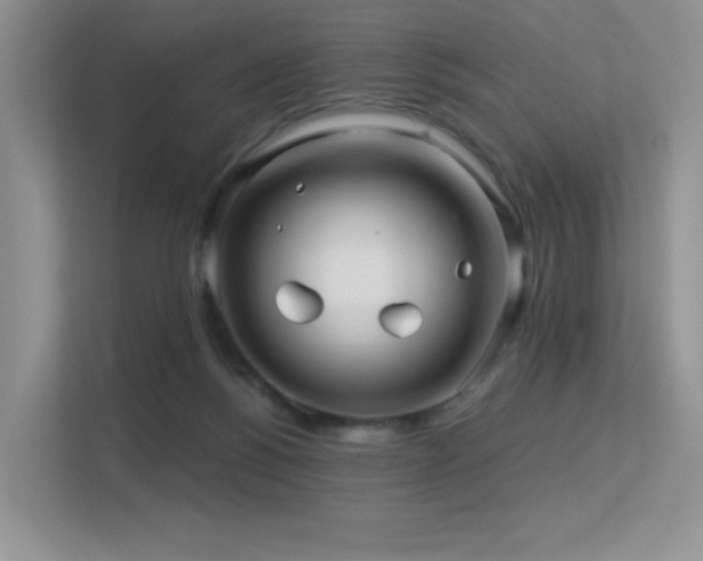 X0000113300168200909141254