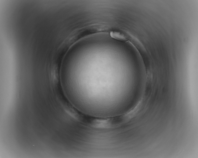 X0000113300170200909141254