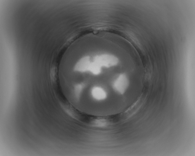 X0000113300171200909141254