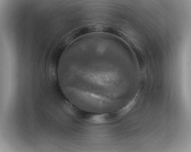 X0000113300178200909141254