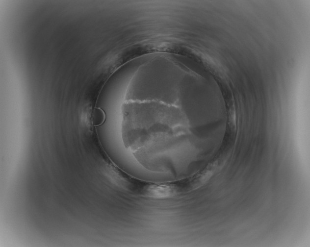 X0000113300181200909141254