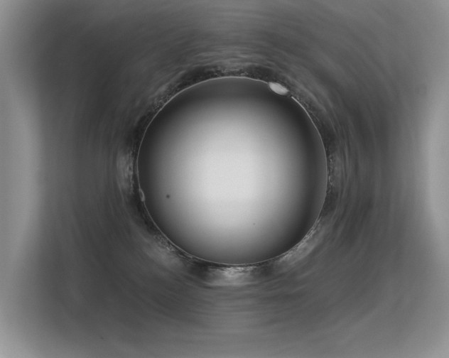 X0000113300184200909141255