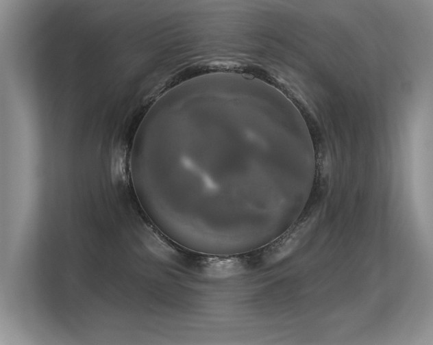 X0000113300185200909141255