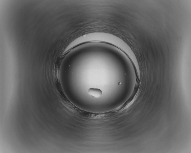 X0000113300186200909141255