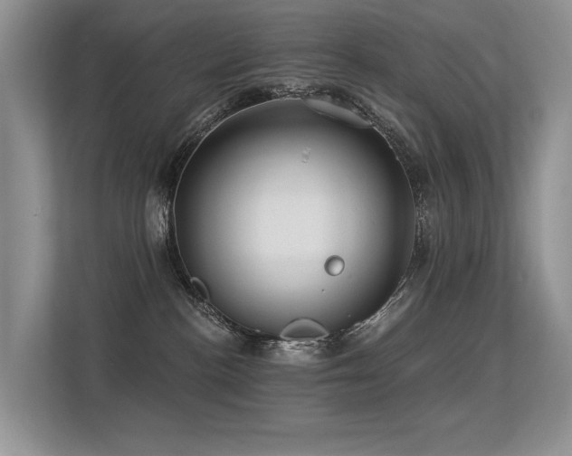 X0000113300188200909141255