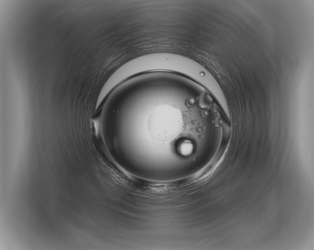 X0000113300190200909141255