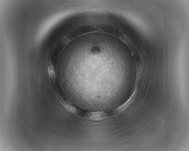 X0000113300191200909141255