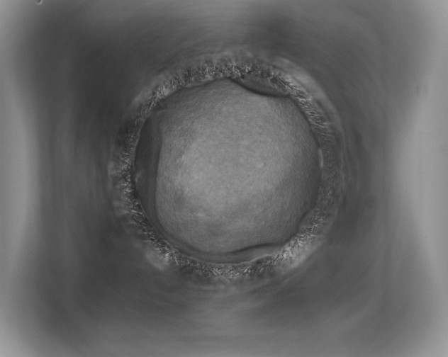 X0000113300192200909141255