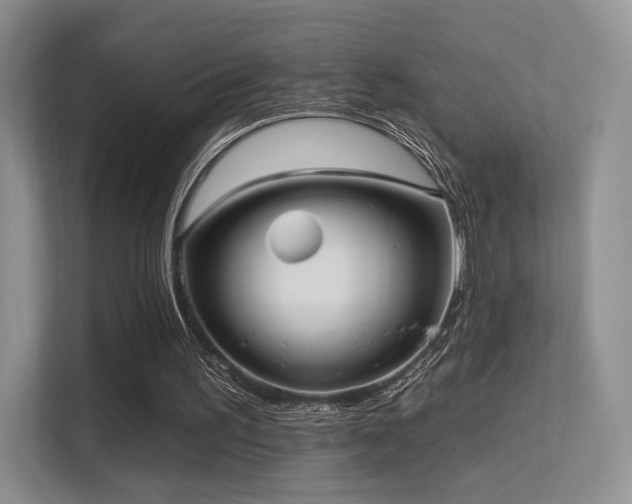 X0000113300195200909141254