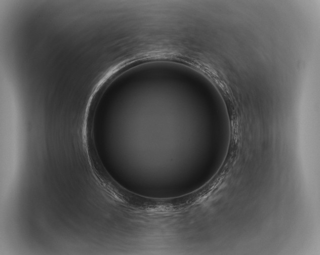 X0000113300196200909141254