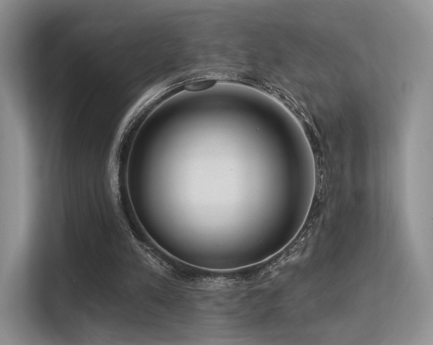 X0000113300197200909141254