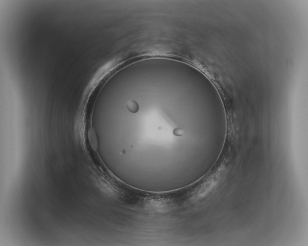 X0000113300199200909141254