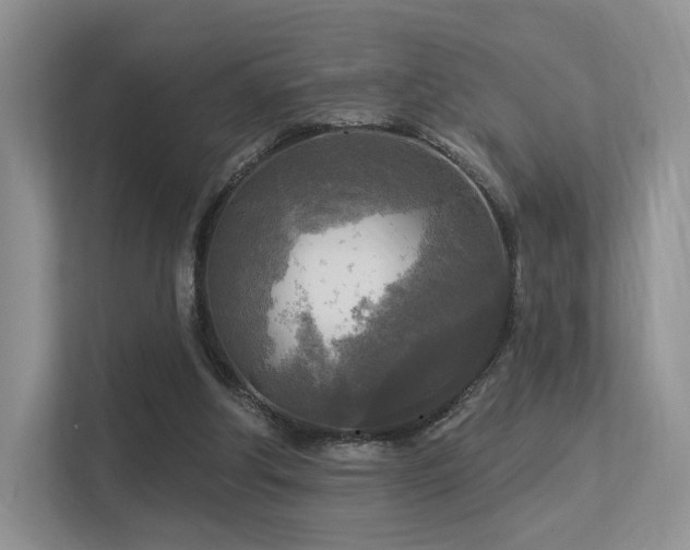 X0000113300202200909141254