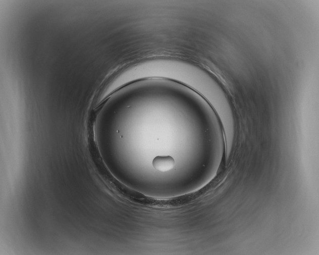 X0000113300203200909141254