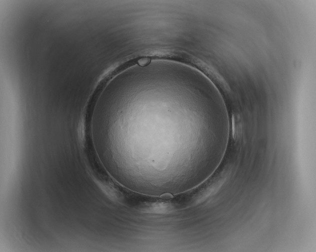 X0000113300204200909141254