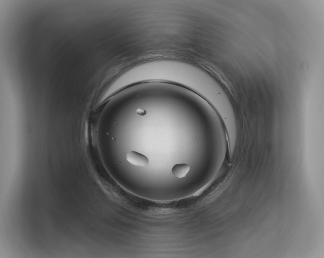 X0000113300205200909141254