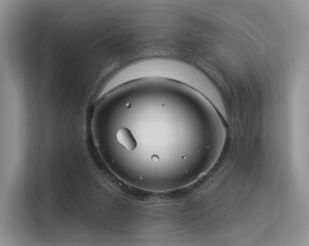 X0000113300207200909141254