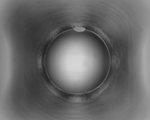 X0000113300209200909141254