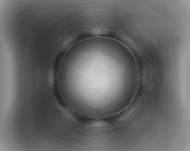 X0000113300210200909141254