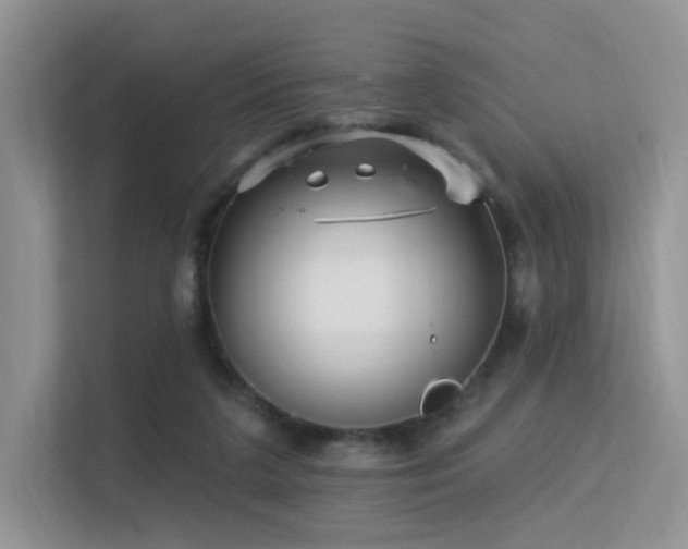 X0000113300211200909141254