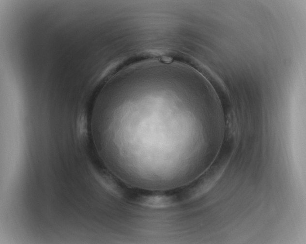 X0000113300212200909141254