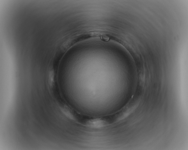 X0000113300219200909141254