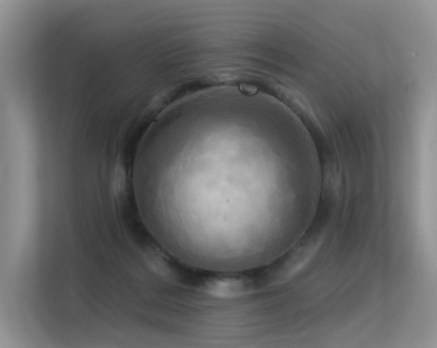 X0000113300220200909141254