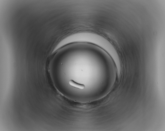 X0000113300221200909141254