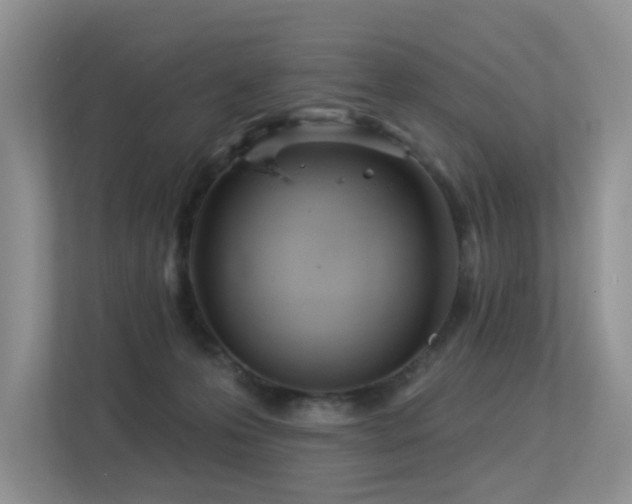 X0000113300223200909141254