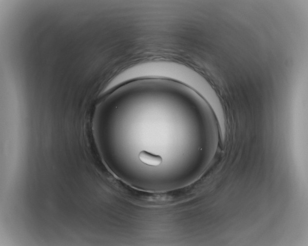 X0000113300225200909141254