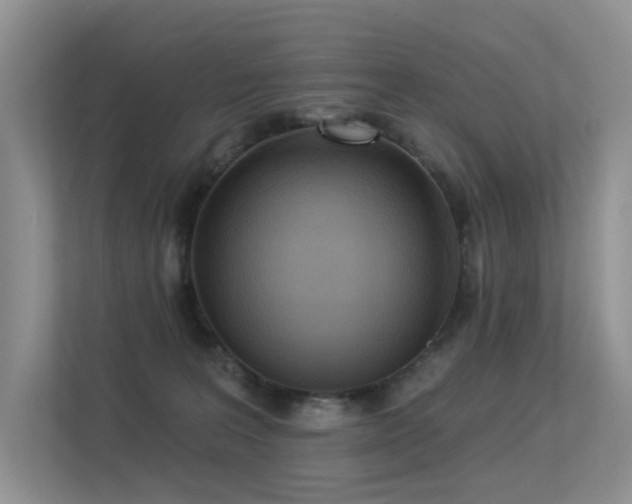 X0000113300227200909141254