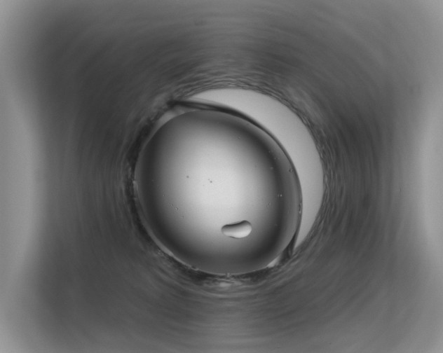 X0000113300229200909141254