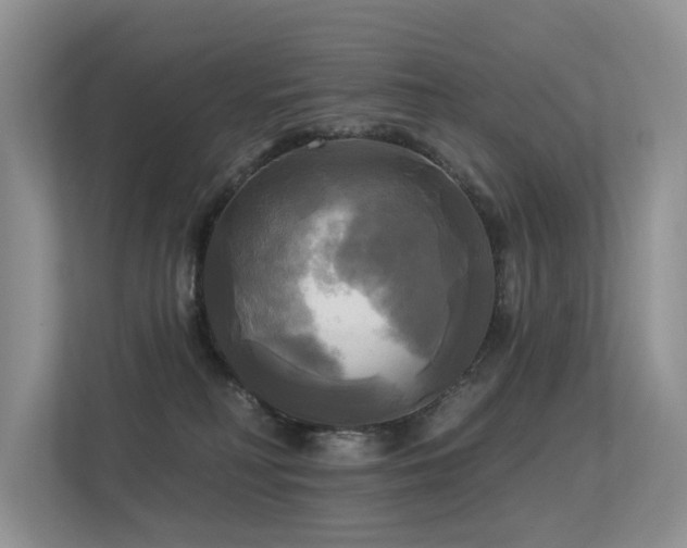 X0000113300230200909141254