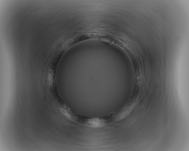 X0000113300231200909141254