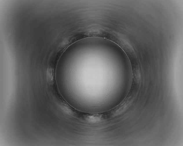 X0000113300232200909141254