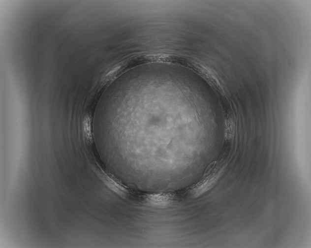 X0000113300238200909141253