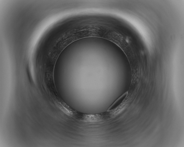 X0000113300239200909141253