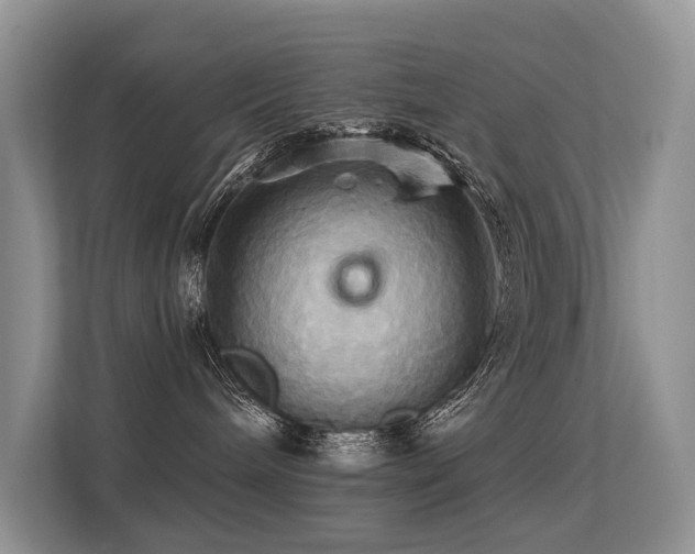 X0000113300240200909141253