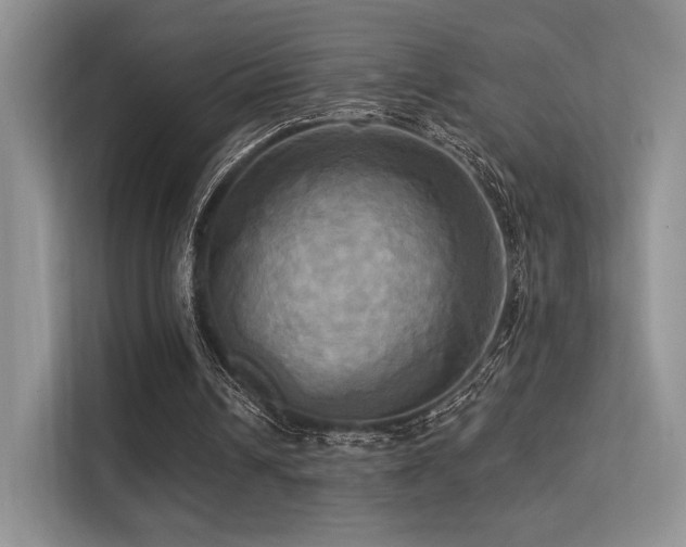 X0000113300242200909141253