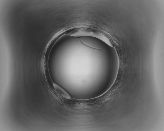 X0000113300244200909141253