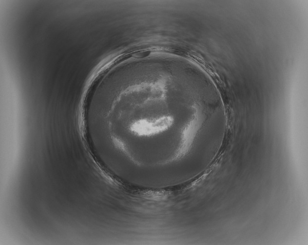 X0000113300245200909141253