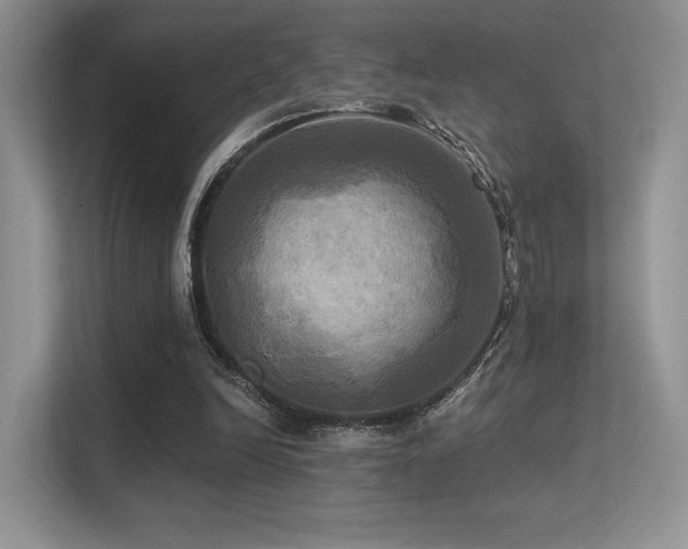 X0000113300246200909141253