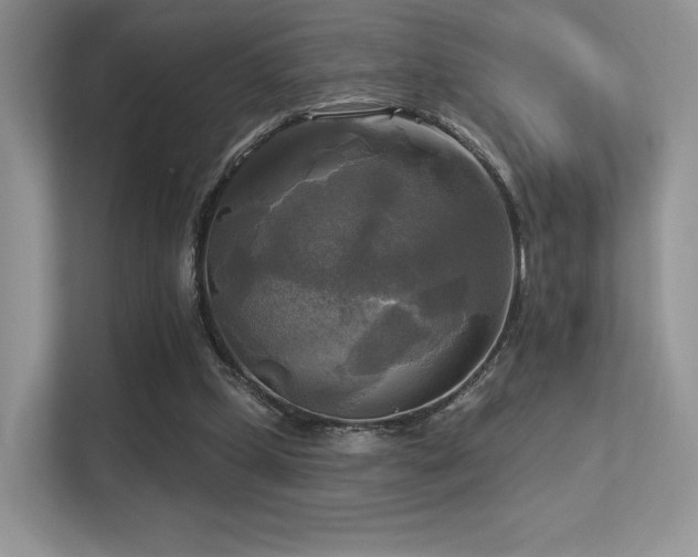 X0000113300249200909141253