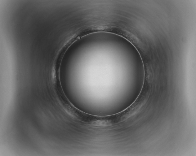 X0000113300251200909141253