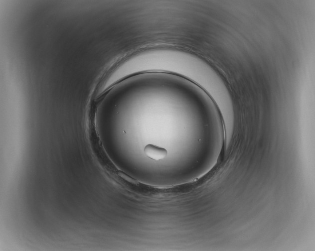 X0000113300252200909141253