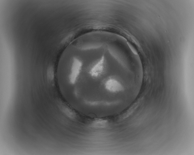 X0000113300257200909141253