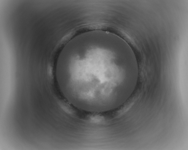 X0000113300258200909141253